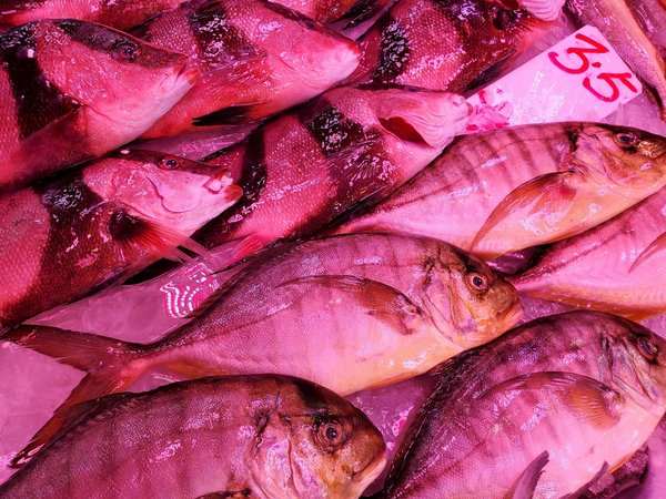 Hydratation: pourquoi c'est une habitude saine et comment rester hydraté